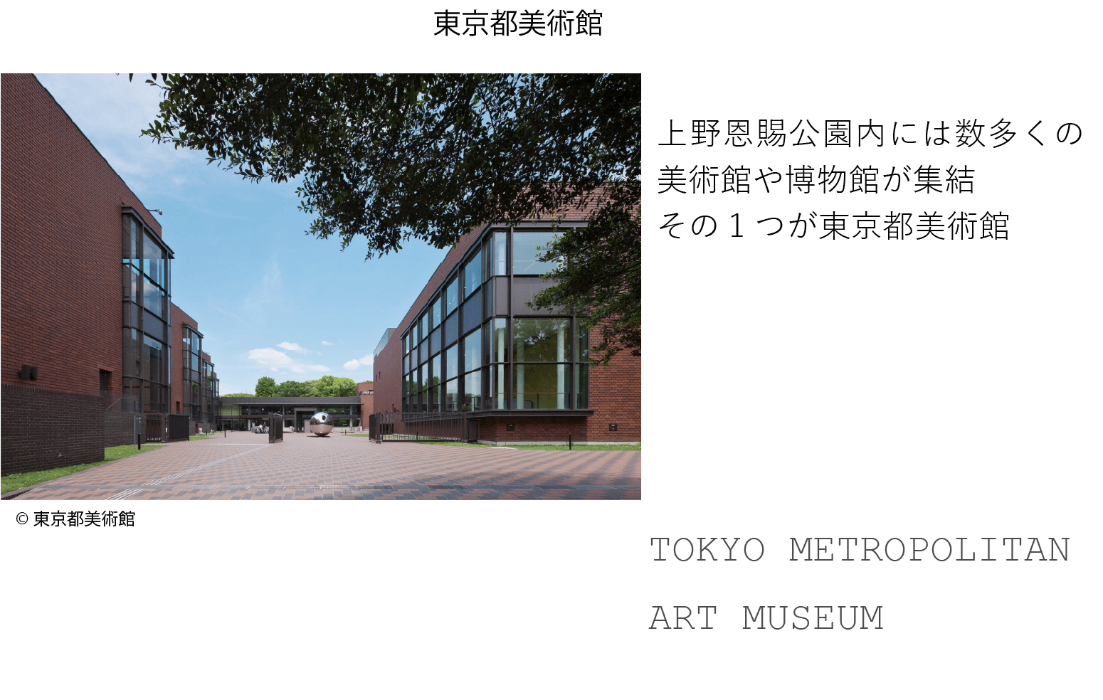 ©東京都美術館