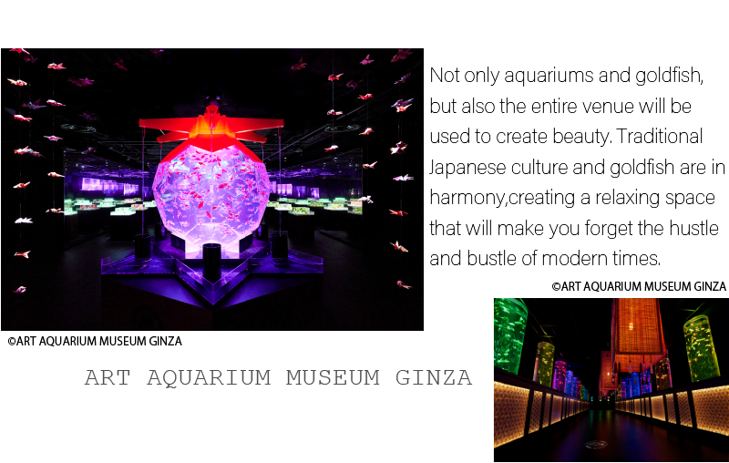 ©ART AQUARIUM MUSEUM GINZA